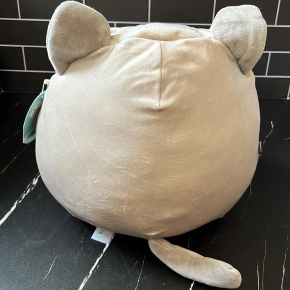 Felton the Siamese Cat - Picture 3 of 3